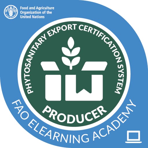 Phytosanitary Certificate